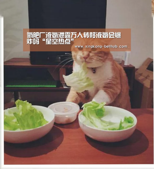 星空赛事